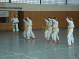 Karatelehrgang in Ganspe (26.04.2009)